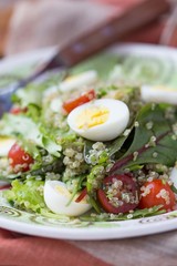 Healthy quinoa salad with tomatoes, avocados, eggs, herbs