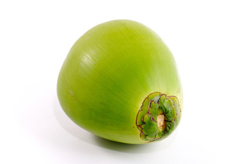 Coconut isolated
