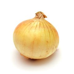 Onion