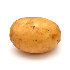 Potato