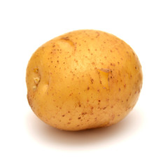 Potato