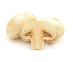 Champignon mushroom