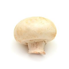 Champignon mushroom