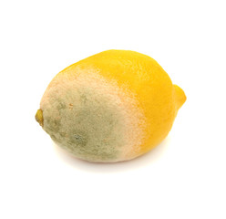 Moldy lemon