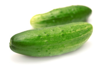 Cucumber