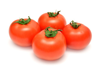 Tomato