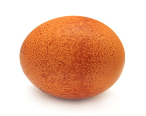 Egg