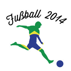Fußball 2014