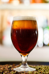 beer in the bar