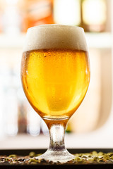 beer in the bar