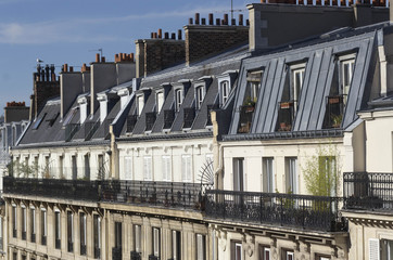 Fototapeta na wymiar Paris immeuble