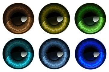 Vector illustration of human pupils in six colors