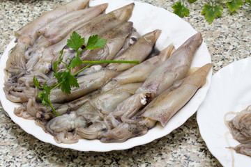 fresh calamari in plate