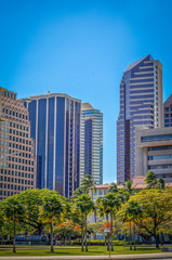 Fototapeta na wymiar Finance District Of Honolulu