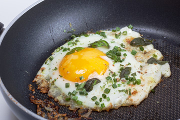 Fried egg in a frying pan