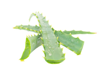 three pieces of aloe vera
