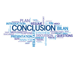Nuage de Tags "CONCLUSION" (présentation résultats rapport fin)