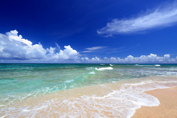 南国の美しいビーチと紺碧の空