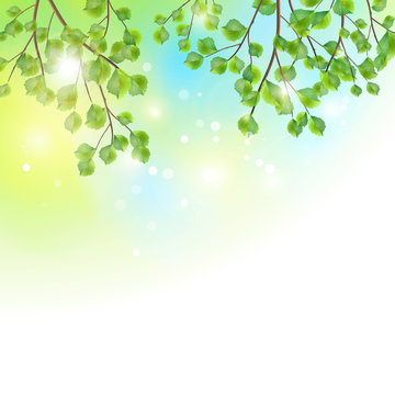 Green leaves tree branches vector background