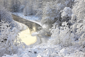 winter landscape