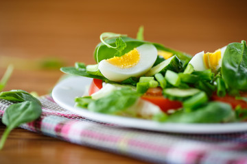 summer salad with egg