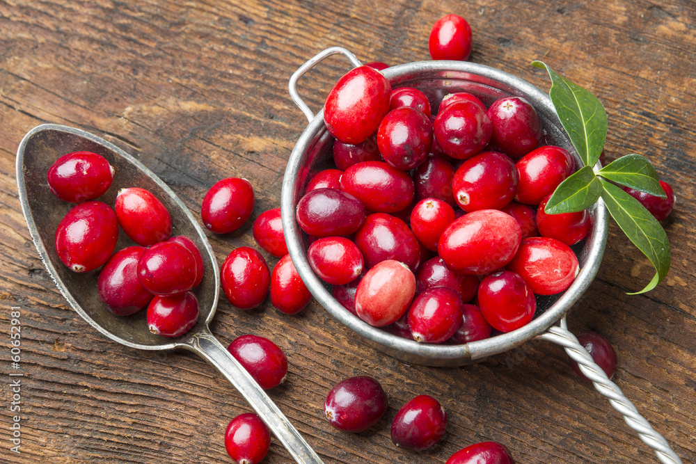 Wall mural still life with cranberries