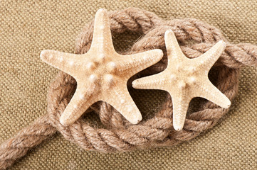 starfish on a background of old cloth