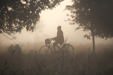 Silhouette of a biker at misty nature