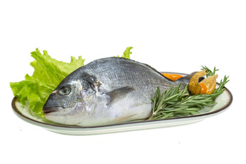 Raw dorado