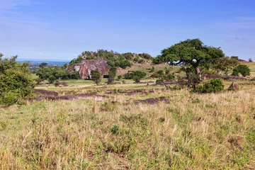 Fototapete Rund Süd Afrika Grassy savanna, bush in Africa. Tsavo West, Kenya.  © Photocreo Bednarek