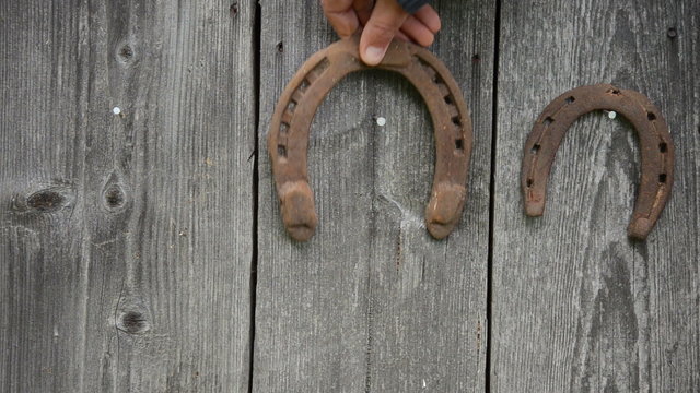 Hand put pile of rusty horse shoes on stones near carriage wheel
