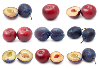 Plum