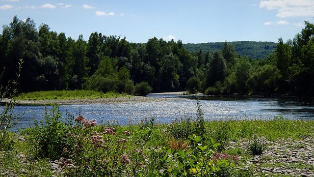 French river © bat104