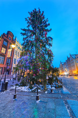 Christmas tree in old town of Gdansk, Poland © Patryk Kosmider