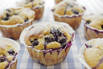 Blueberry Muffins