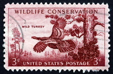 Postage stamp USA 1956 Wild Turkey