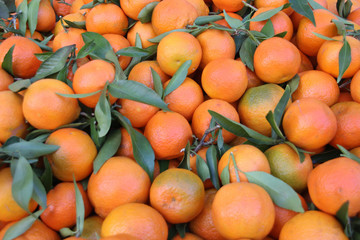 Fresh tangerines fruit in the market