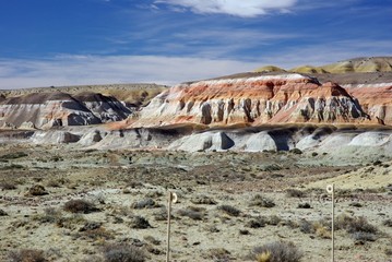 Paysage en Patagonie