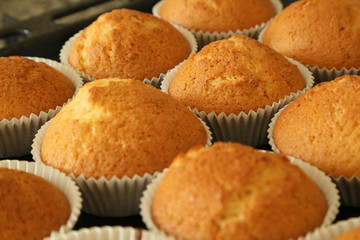 Muffins with vanilla flavour