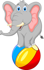 elephant cartoon standing on a ball