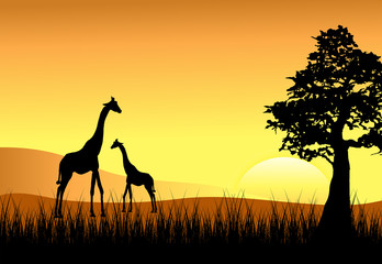 Fototapeta na wymiar Sunset with Mom & Baby Giraffe
