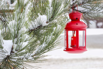 Red lantern hanging on fir branch