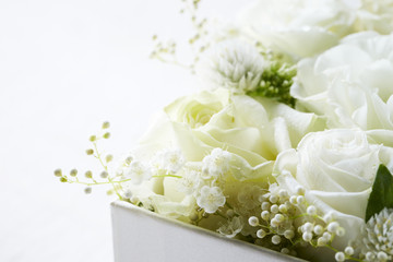 white roses