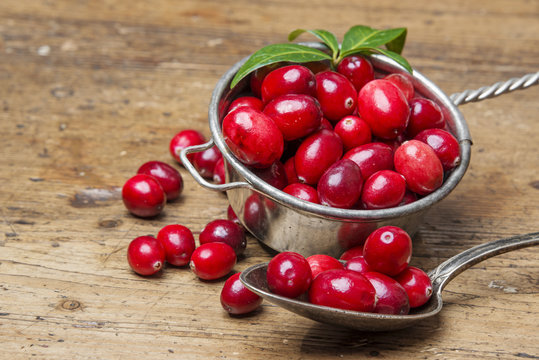 cranberries on a kitchen table