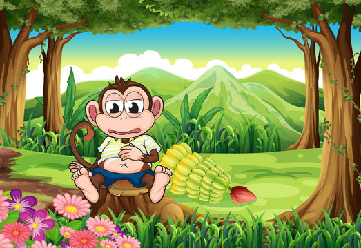 A monkey at the forest with a full stomach