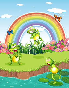 Three playful frogs at the pond and a rainbow in the sky