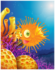 Fototapeta na wymiar An orange puffer fish near the coral reefs