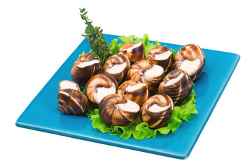 Escargot