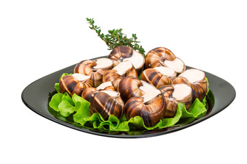 Escargot