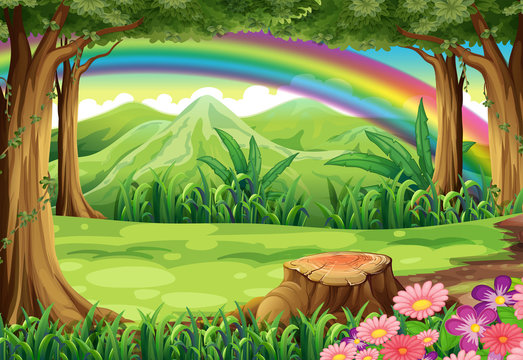 A rainbow and a forest